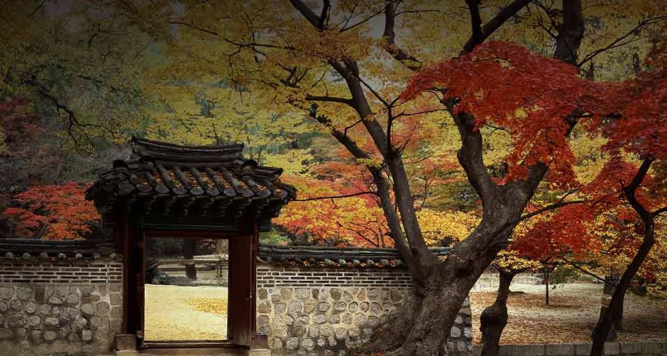 秋的踪迹：韩国昌德宫的秋叶