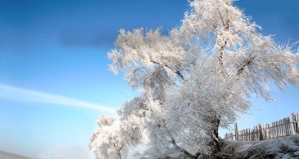 东北冰雪之旅：银装素裹的吉林雾凇