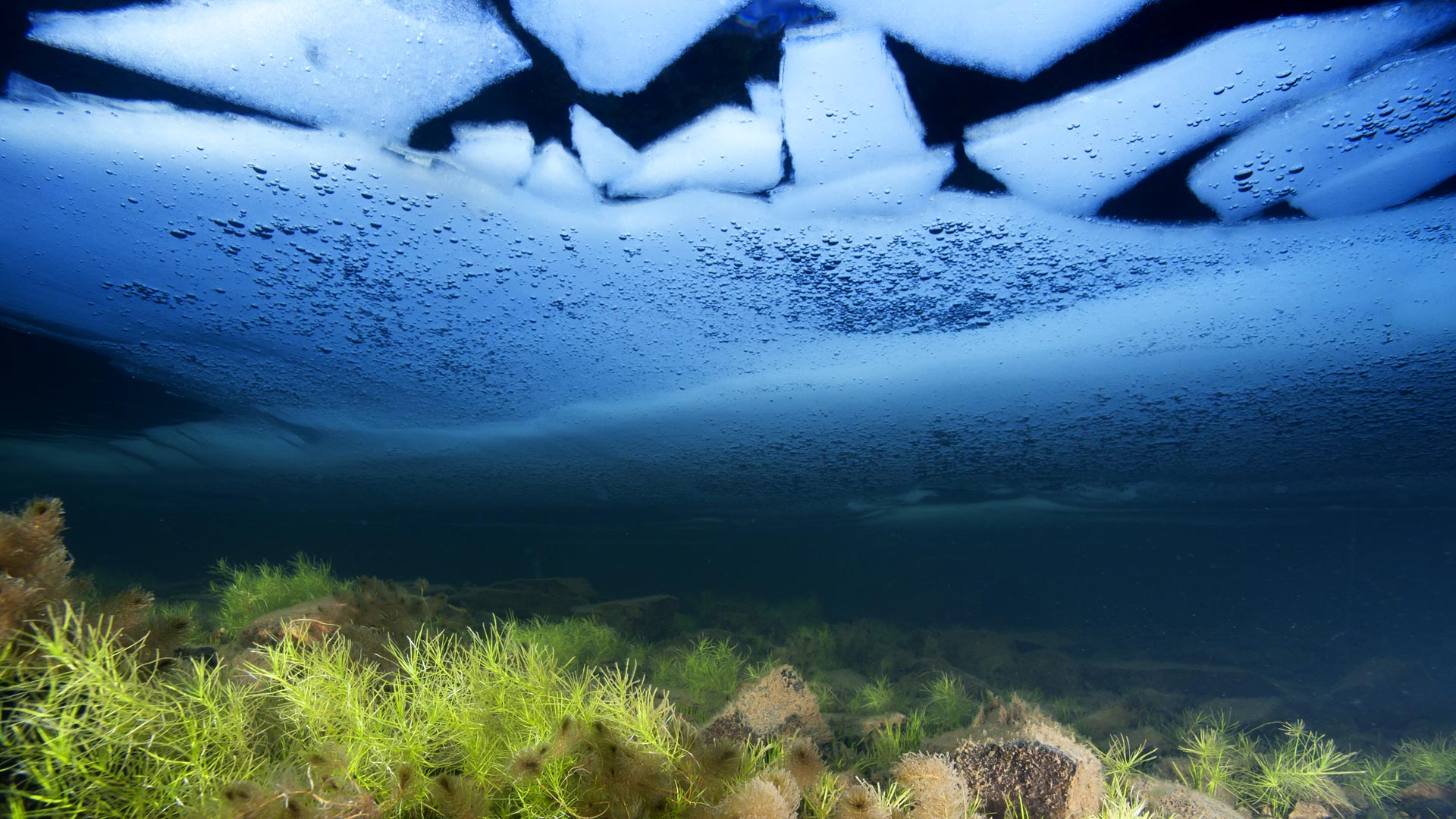 英国，雪墩山，丽茵 埃德沃尔湖面上的冰