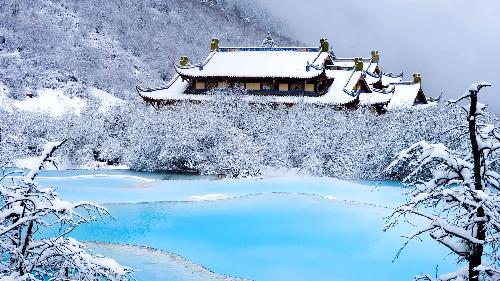 [今日大寒]中国，四川省，黄龙，黄龙后寺，五彩池