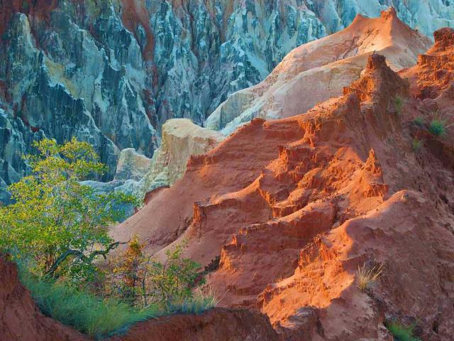 马达加斯加，安卡拉凡兹卡国家公园，Ankarokaroka canyon
