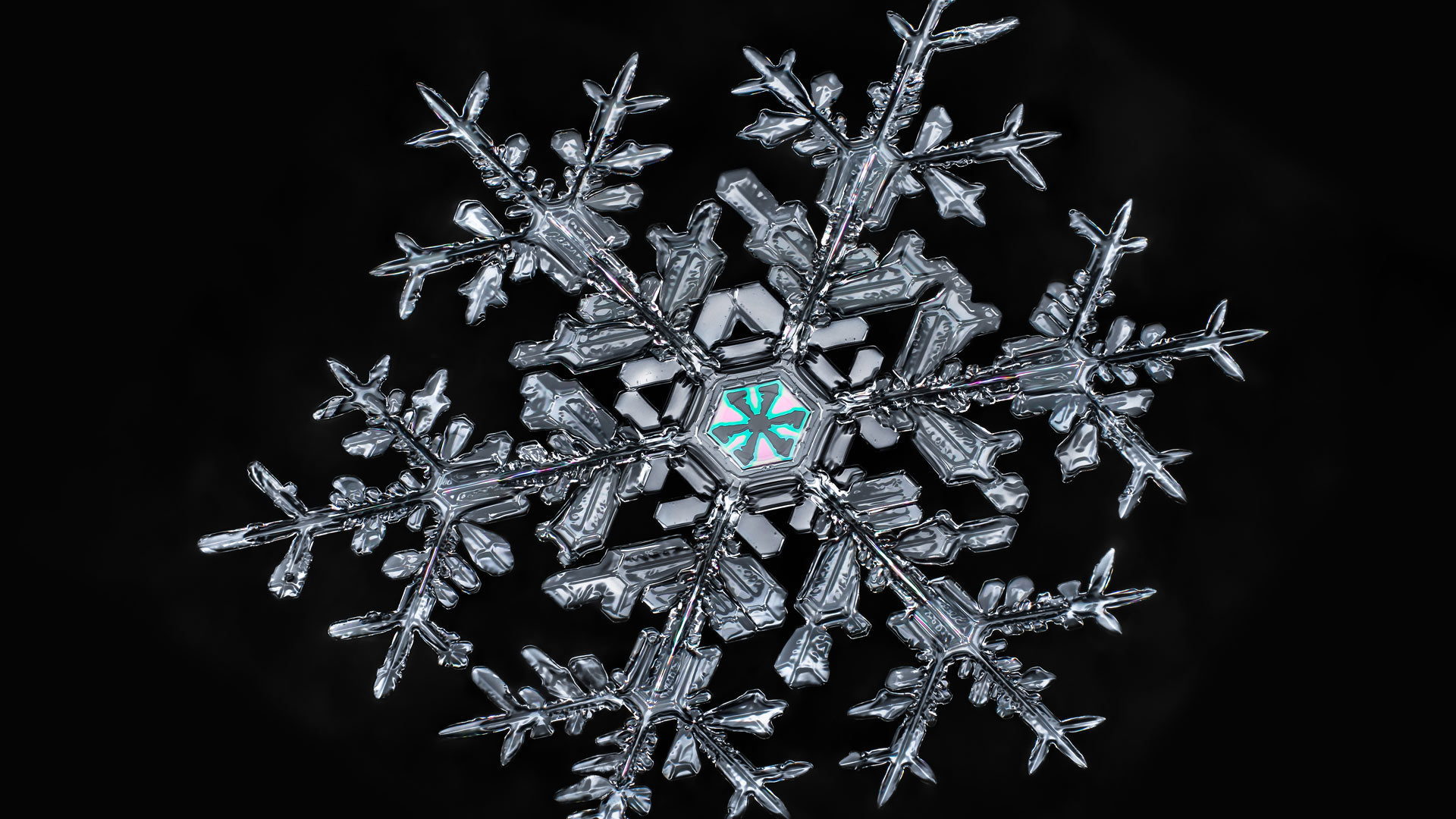 一片雪花