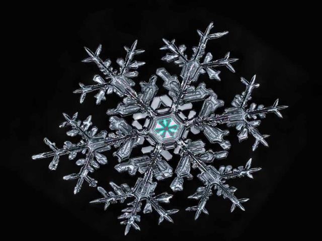 一片雪花