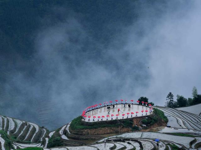 【今日谷雨】平安村种植节期间龙胜梯田的忙碌景