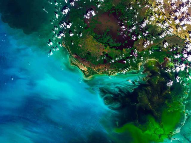 大沼泽地国家公园的卫星视图，佛罗里达州