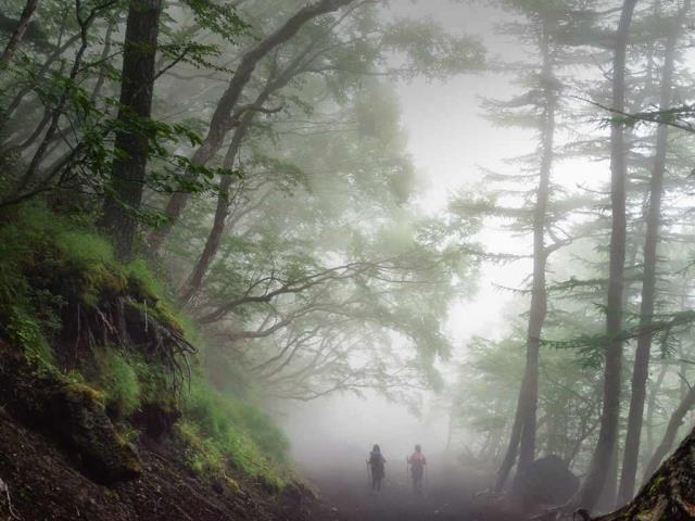 沿着富士山的吉田步道徒步旅行，日本