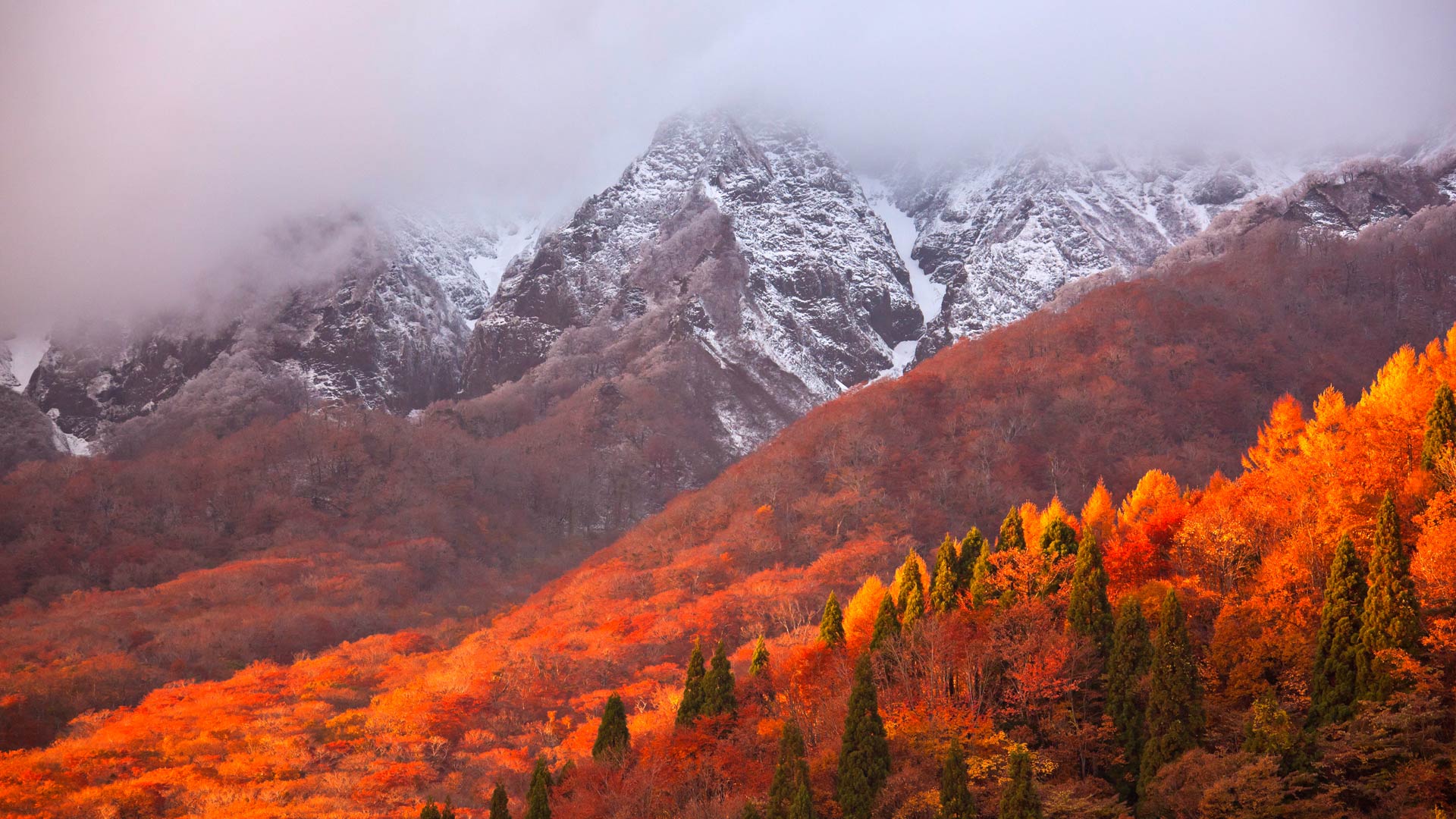 大山，日本神奈川县