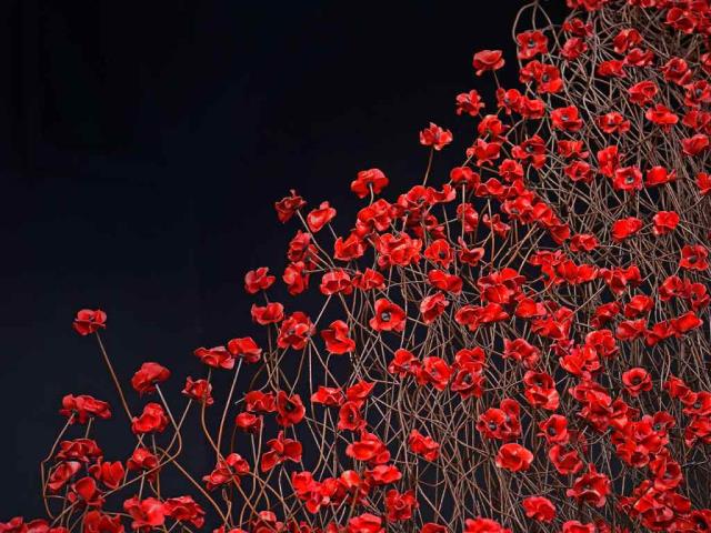 帝国战争博物馆北馆内的装置艺术‘Blood Swept Lands and Seas of Red’，英国曼彻斯特