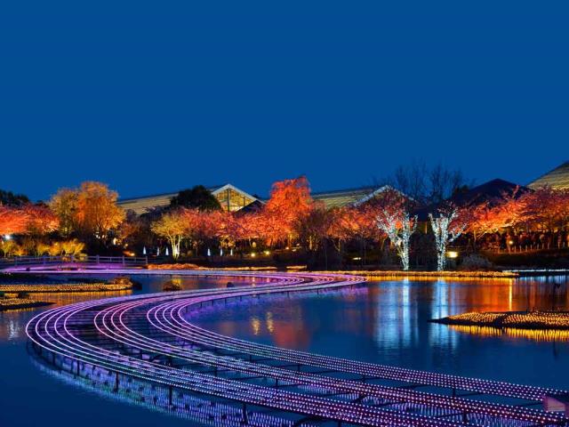 名花之里冬季彩灯展，日本桑名市