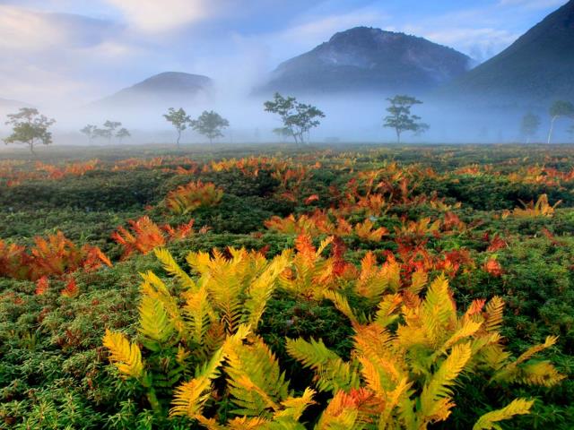 日本北海道