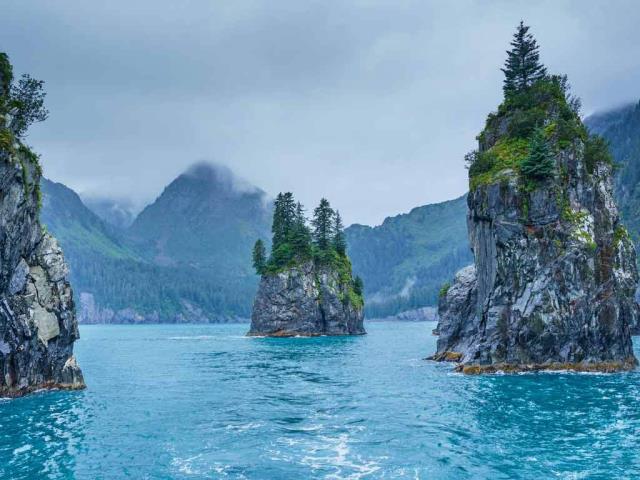 基奈峡湾国家公园的尖顶湾，阿拉斯加