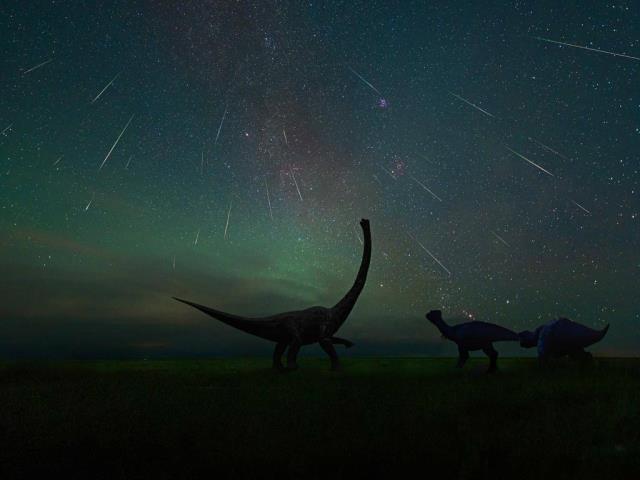 拍摄于二连浩特恐龙博物馆中的英仙座流星雨，中国内蒙古