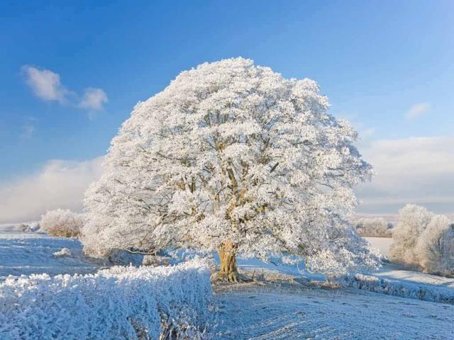 霜雪覆盖下的科茨沃尔德，英格兰