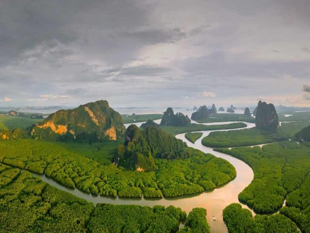 攀牙湾安达曼海的红树林，泰国