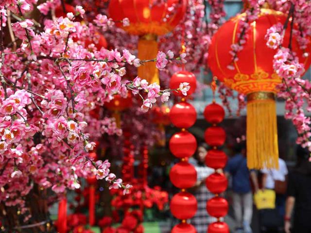 春节的桃花和红灯笼