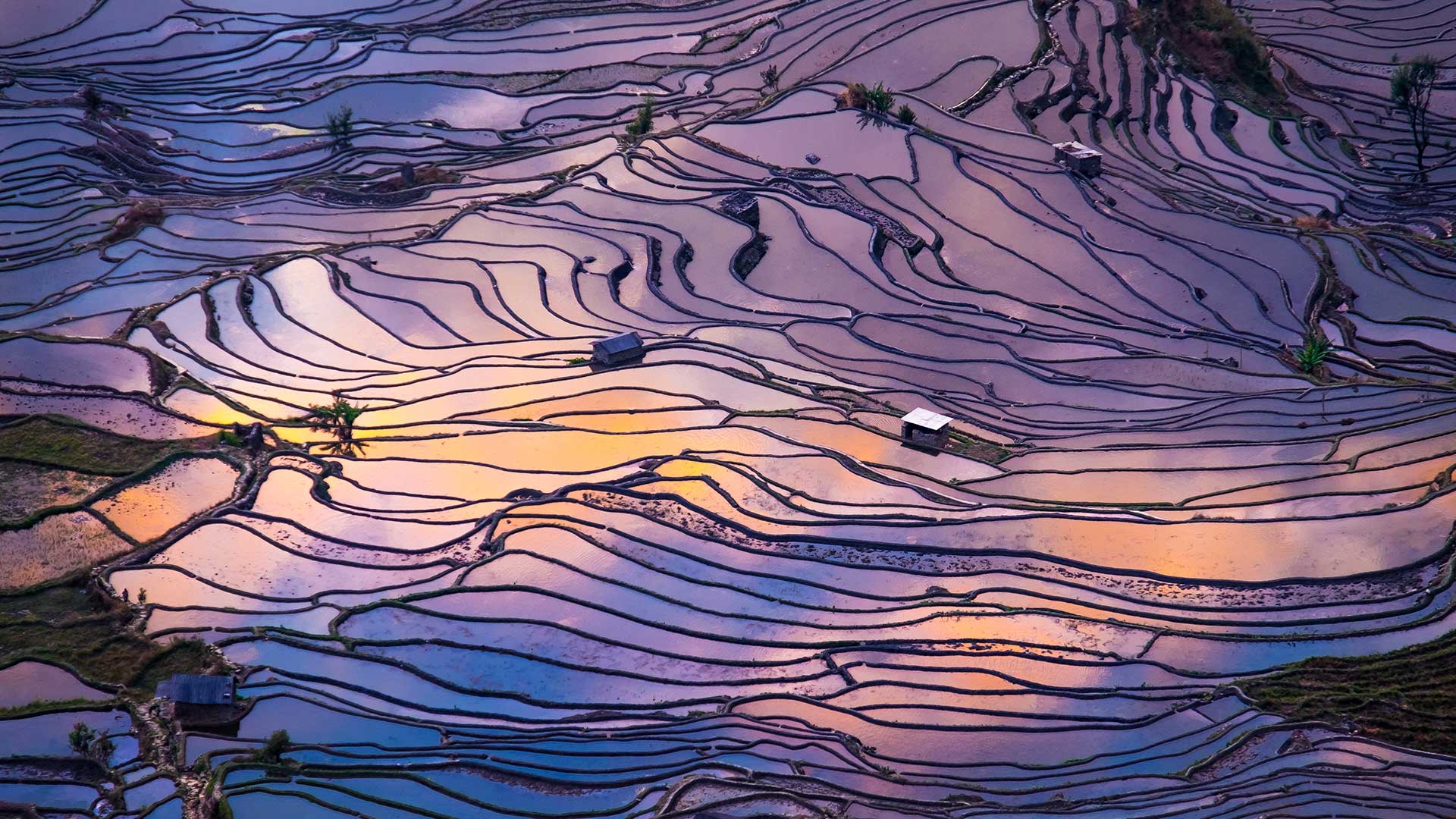 梯田鸟瞰图，元阳，中国