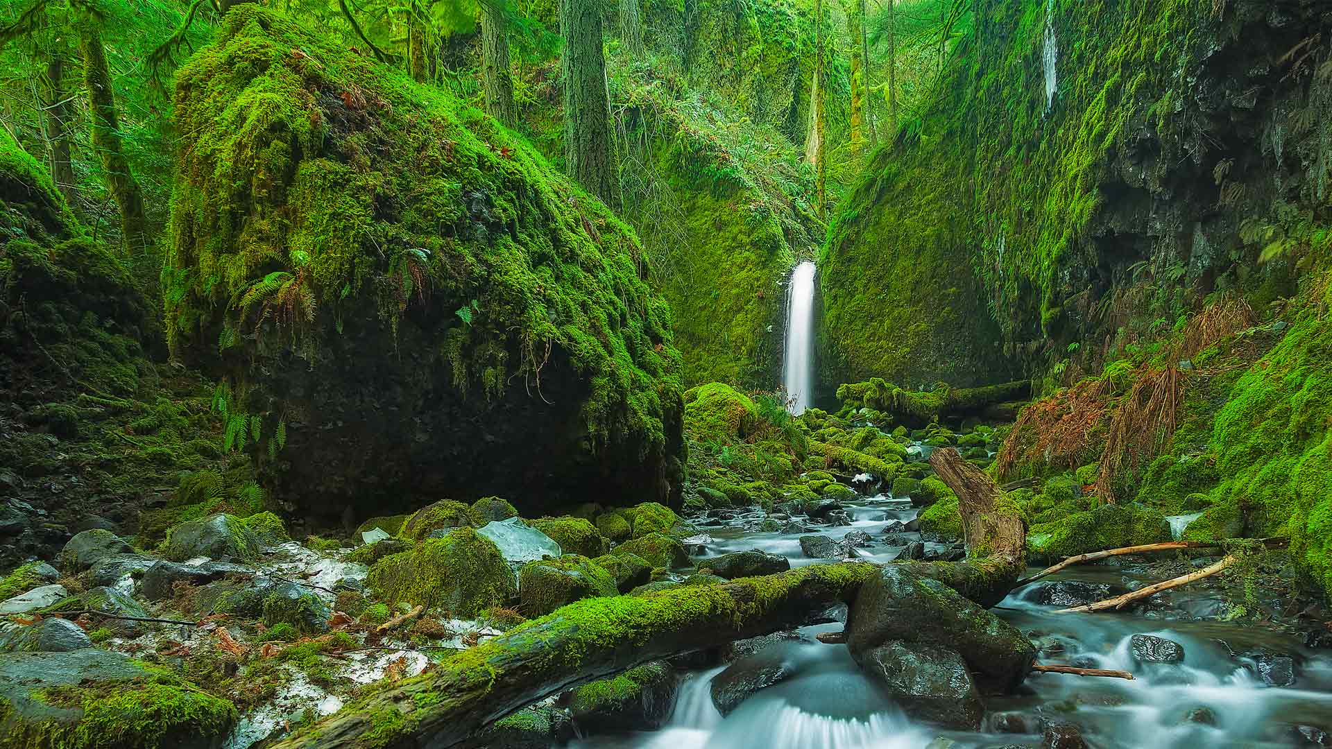 哥伦比亚河峡谷，俄勒冈州，美国