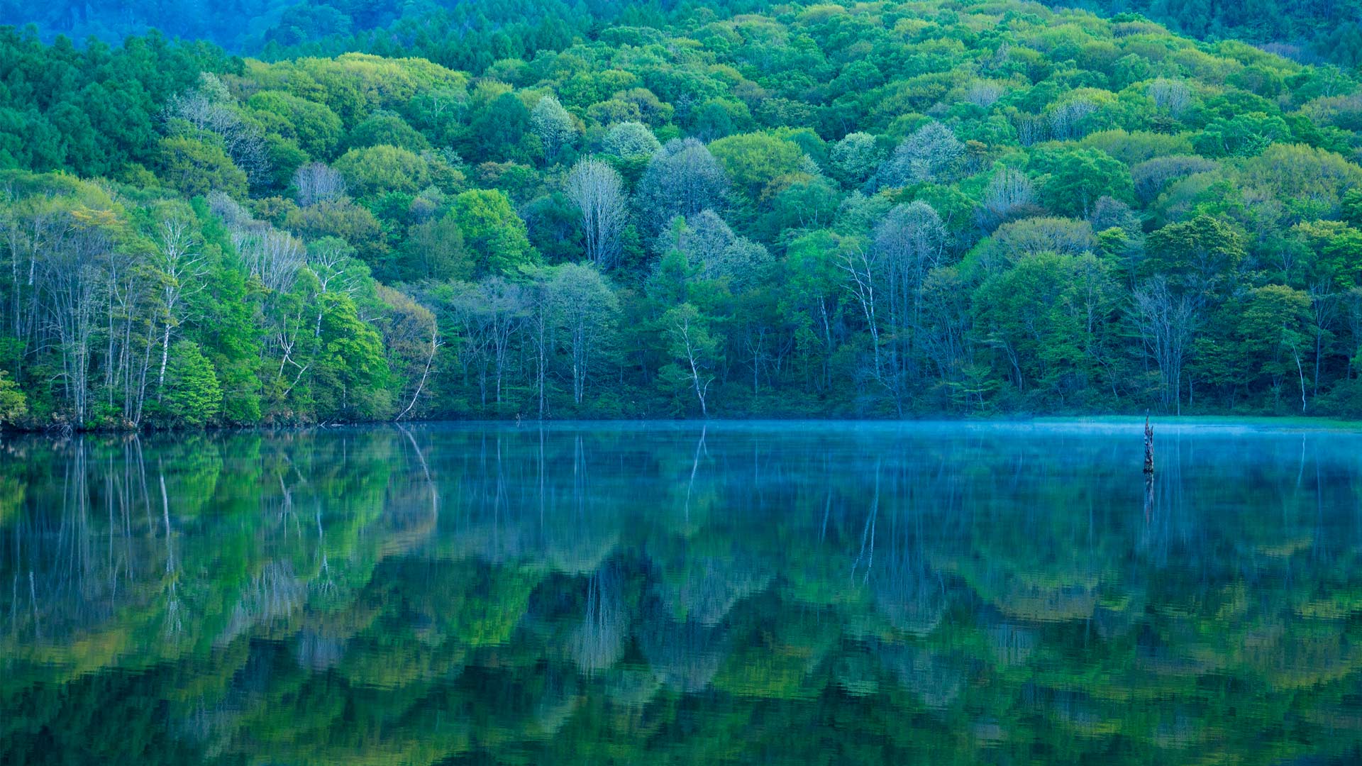 镜池，长野，日本