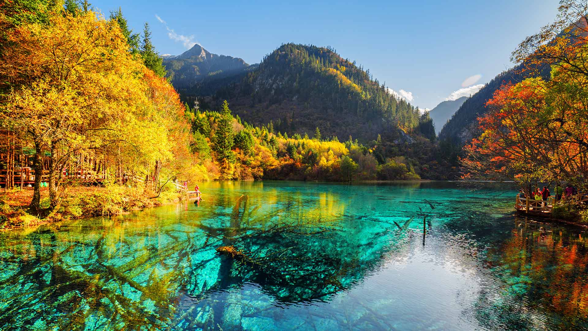 五花海，阿坝九寨沟旅游景区，四川省，中国
