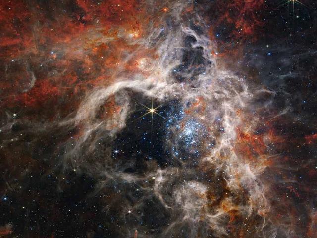 狼蛛星云中形成的年轻恒星，詹姆斯·韦布空间望远镜