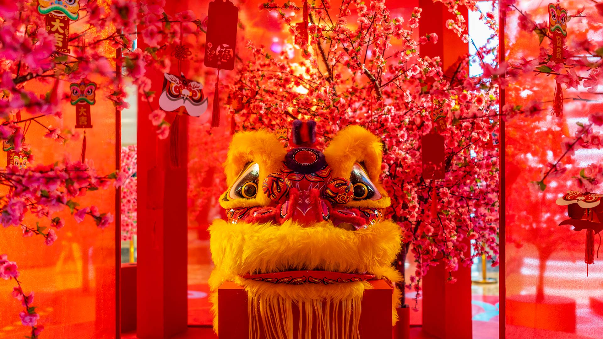 中国舞狮，大年初一
