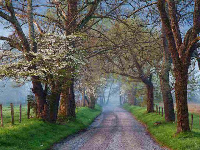 Cades Cove ，大雾山国家公园，田纳西州，美国