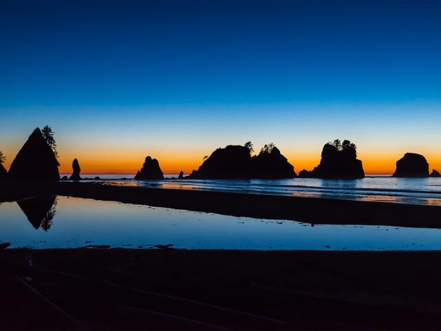 奥林匹克国家公园石狮海滩，华盛顿州，美国