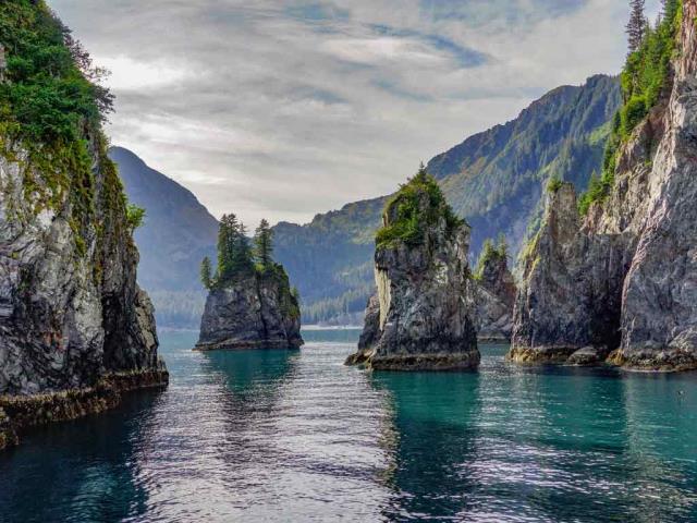 阿拉斯加基奈峡湾国家公园尖顶湾, 阿拉斯加州苏厄德, 美国