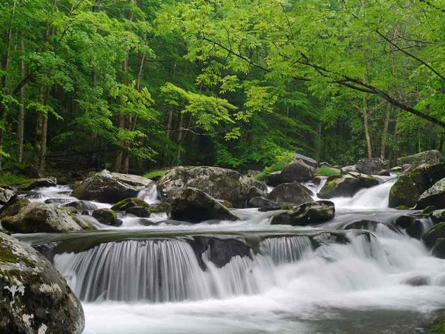 小鸽子河，大雾山国家公园，田纳西州, 美国
