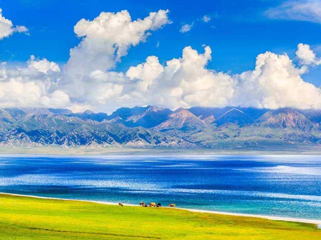 夏季的赛里木湖，博尔塔拉蒙古自治州博乐县, 中国新疆维吾尔自治区