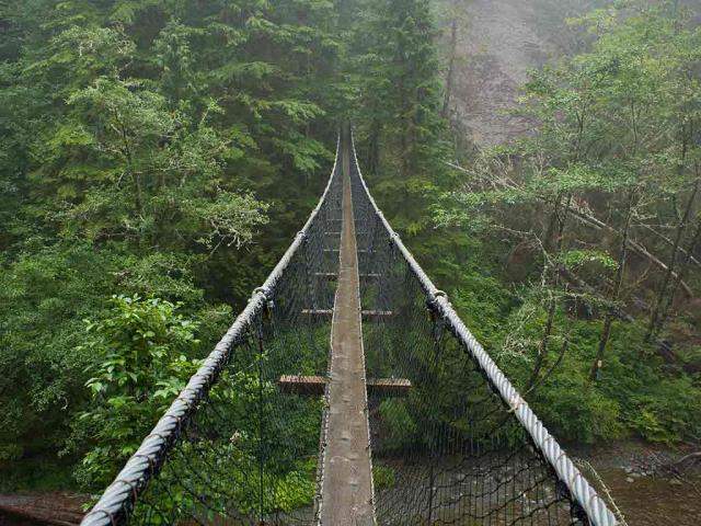 洛根溪吊桥，西海岸步道，加拿大