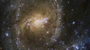 长蛇座中的 NGC 2835 螺旋星系