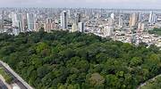 巴西，贝伦，罗德里格斯·阿尔维斯公园