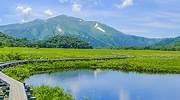 日本，尾濑国立公园中穿过尾濑原的步道