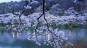 日本，高松公园