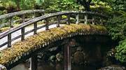 日本，京都御所的 Gonaitei Garden