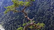 波兰，杜纳耶茨河峡谷