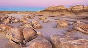 新墨西哥州，Bisti/De-Na-Zin，蛋园