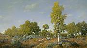 西奥多·卢梭的《An Early Summer Morning in the Forest of Fontainebleau》（1861 年）